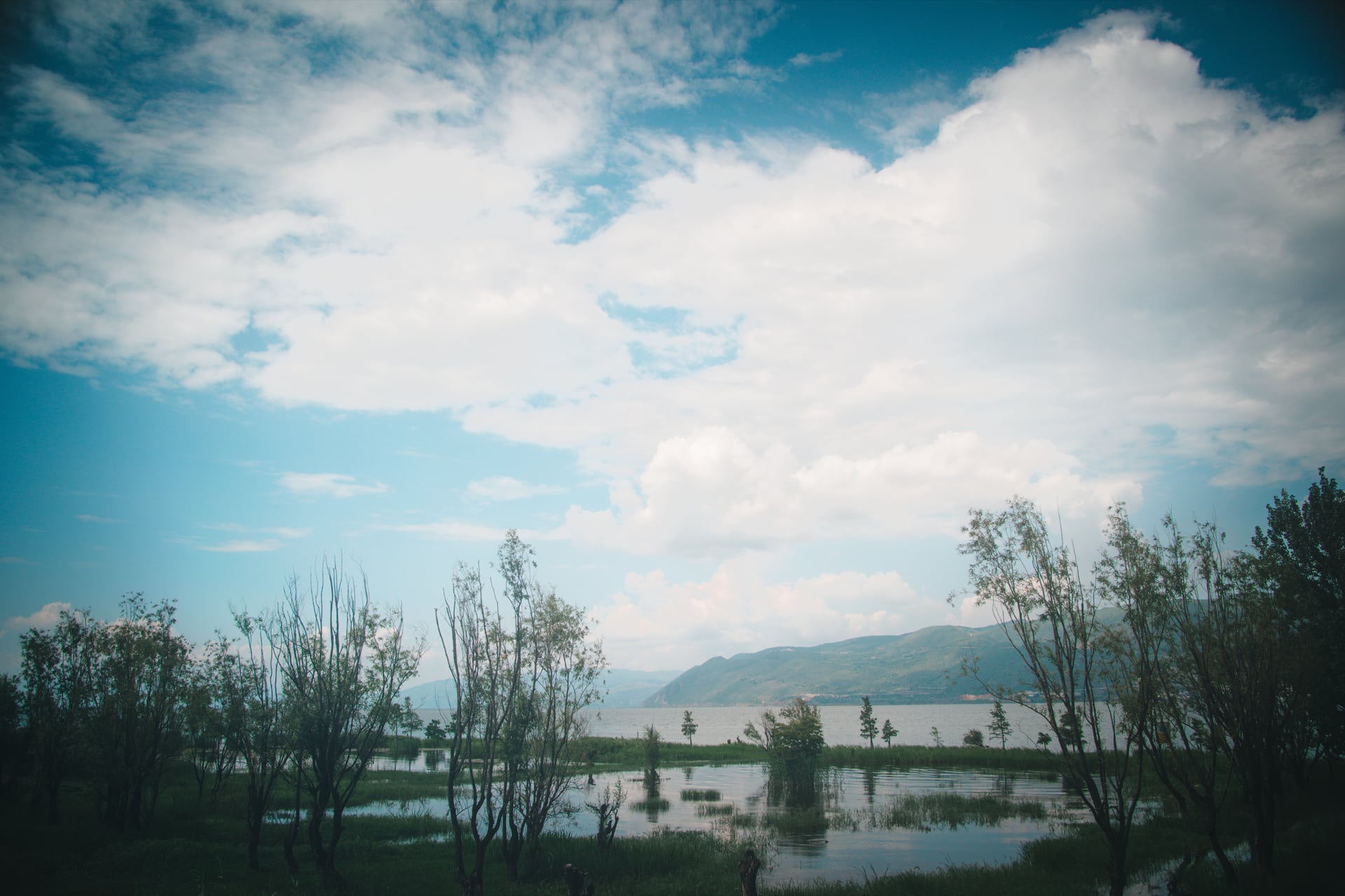 积云升起在洱海湿地、树林与远山上方。