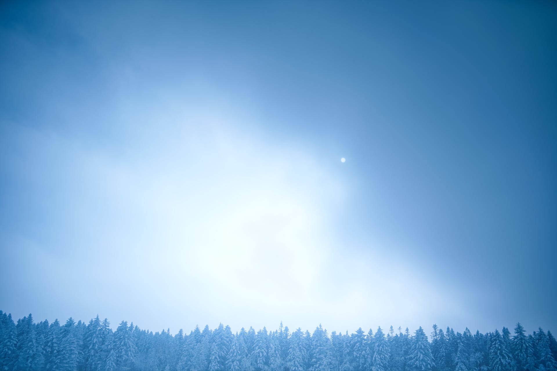 雪林低伏在大片淡蓝天空下，月亮悬在右侧。